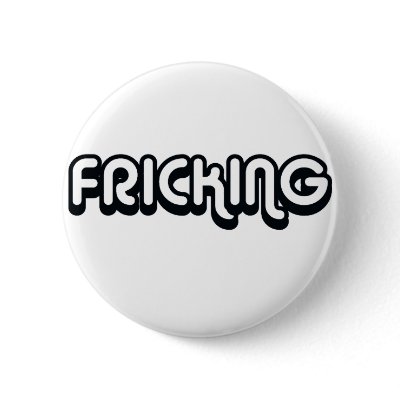 80's catch phase fricking on gifts pinback buttons by 80scatchphrasestore