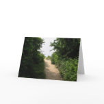 81st Street Access, Virginia Beach VA, 2003 Cards