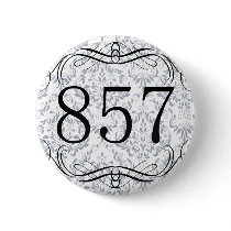 857 Area Code Pinback Button