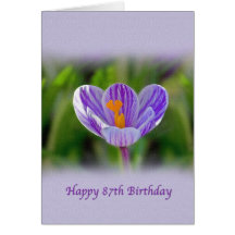 87th Birthday Card with Purple and White Flower