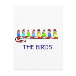 8 Budgies Post Cards