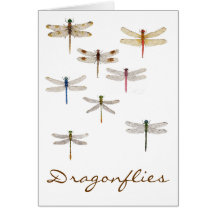 8 Dragonflies Cards
