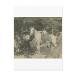 8lot38_2[1] postcards