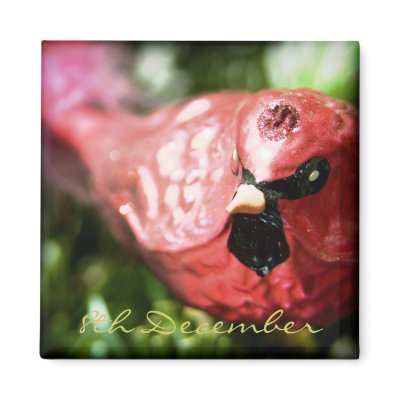 8th December • Red Cardinal • Magnet by SabineStGreetings