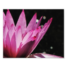 8x10 Lily With Fairies Photograph