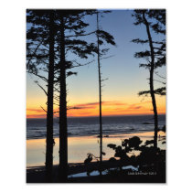 8X10 Ruby Beach on the Pacific Ocean Photo Art