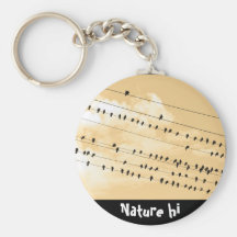 91(1) KEY CHAIN