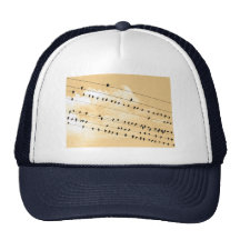 91(1) TRUCKER HAT