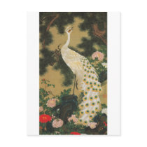 9. 老松孔雀図, 若冲 Old Pine-tree and Peacock, Jakuchu Postcard