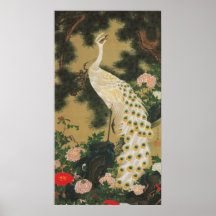 9. 老松孔雀図, 若冲 Old Pine-tree and Peacock, Jakuchu Posters