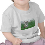 9 28 2008 008, cat t-shirt