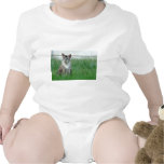 9 28 2008 008, cat tshirt