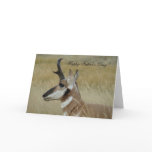 A0004 Pronghorn Antelope Greeting Card