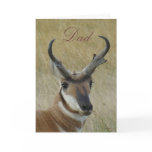 A0005 Pronghorn Antelope Cards