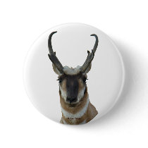 A0009 Pronghorn Antelope button