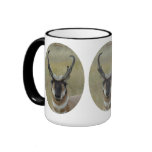 A0020 Pronghorn Antelope mug