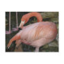 A11 Flamingo Postcard