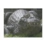 A13 Smiling Gator Postcard