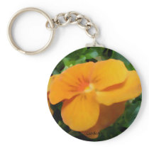 a1 Orange Apricot Viola