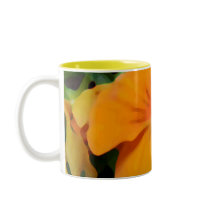 a1 Orange Apricot Viola