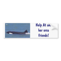 A1 the orca whale! bumper stickers