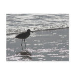 A4 Sparkling Beach Postcard