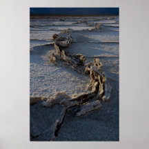 a5424 - Salt Formations in Badwater Basin Posters