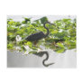 A6 Great Heron Postcard