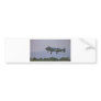 A-10 TANKBUSTER BUMPER STICKERS