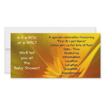 A Baby Boy A Baby Girl? Find out at Baby Shower!