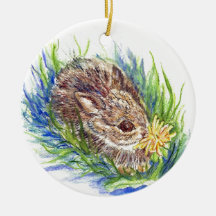 A Baby Cottontail Rabbit - watercolor pencil Christmas Ornaments