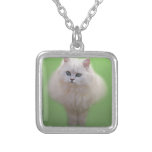 A ball of fluff white kitten necklaces