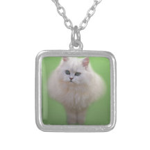 A ball of fluff white kitten necklaces