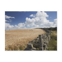 A Barbed Wire Fence Built Along A Stone Fence Postcards