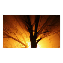 A Bare Tree At Sunset Business Cards