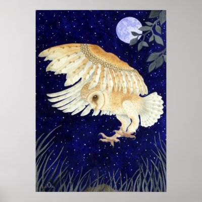 A Barn Owl in flight Poster by aquartistic