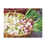 A basket of GARLIC - Naples, Italy Postcards