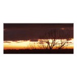 A Bayou Sunset by Leslie Peppers Personalized Invitations