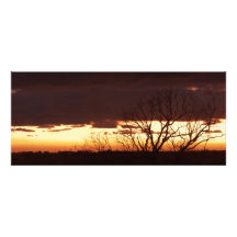 A Bayou Sunset by Leslie Peppers Personalized Invitations