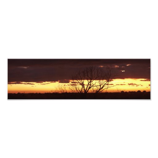 A Bayou Sunset by Leslie Peppers Photo Art