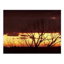 A Bayou Sunset by Leslie Peppers Post Card