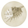 A Beach Wedding  Seashell Sticker (Gold)