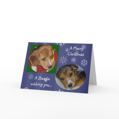A beagle Greeting Card by beagles2