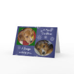 A beagle Greeting Card