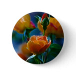 A beautiful bunch of roses and meaning button