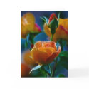 A beautiful bunch of roses and meaning cards