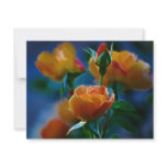 A beautiful bunch of roses and meaning personalized announcement