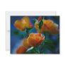 A beautiful bunch of roses and meaning personalized announcement