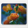 A beautiful bunch of roses and meaning mouse pad