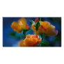 A beautiful bunch of roses and meaning customised photo card
